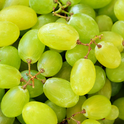 Green Grapes (seedless)