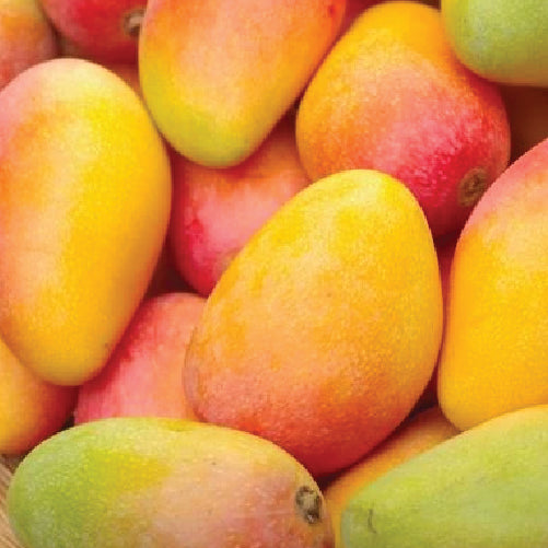 Mango - Badami