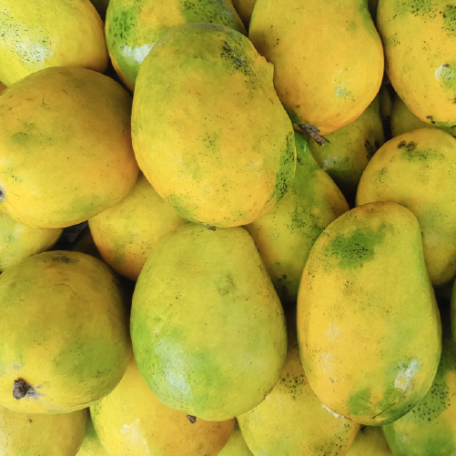 Mango - Imam Pasand