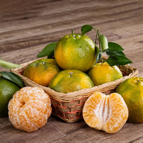 Nagpur Oranges