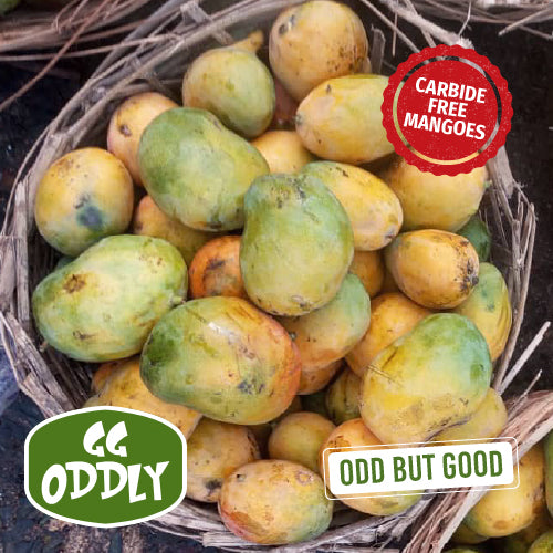 Oddly Mango Alphonso - Ratnagiri (3Pcs)