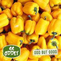 Thumbnail for Oddly Yellow Capsicum