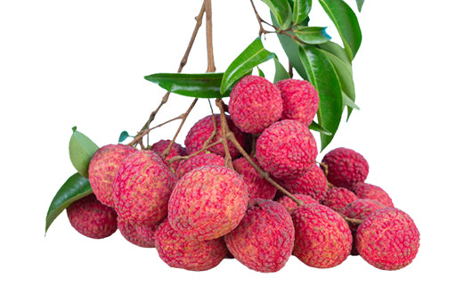 Indian Litchi