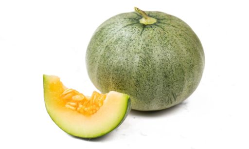 Line Musk Melon