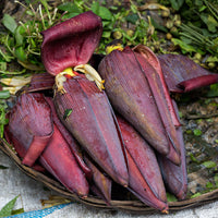 Thumbnail for Banana Flower