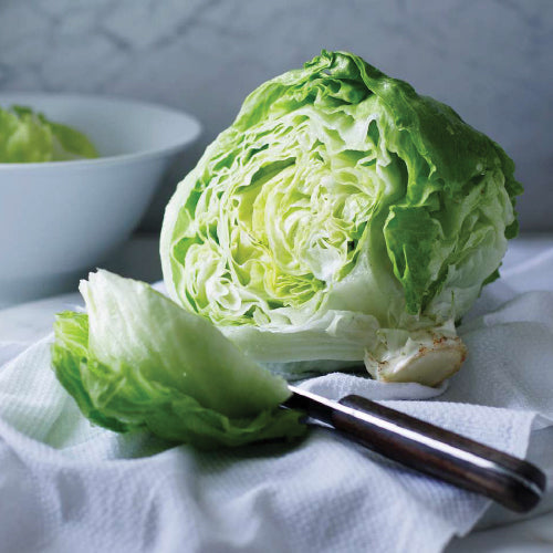 Iceberg Lettuce