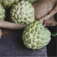 Thumbnail for Large Custard Apple