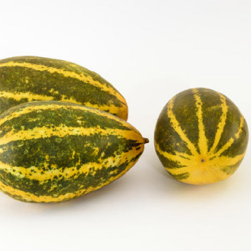 Malabar Cucumber